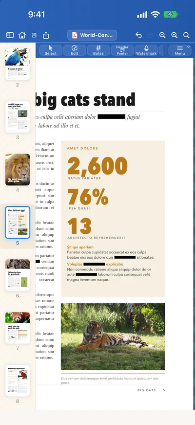 Redacted words shown as a black bar under the headline in Papayra for iPhone.