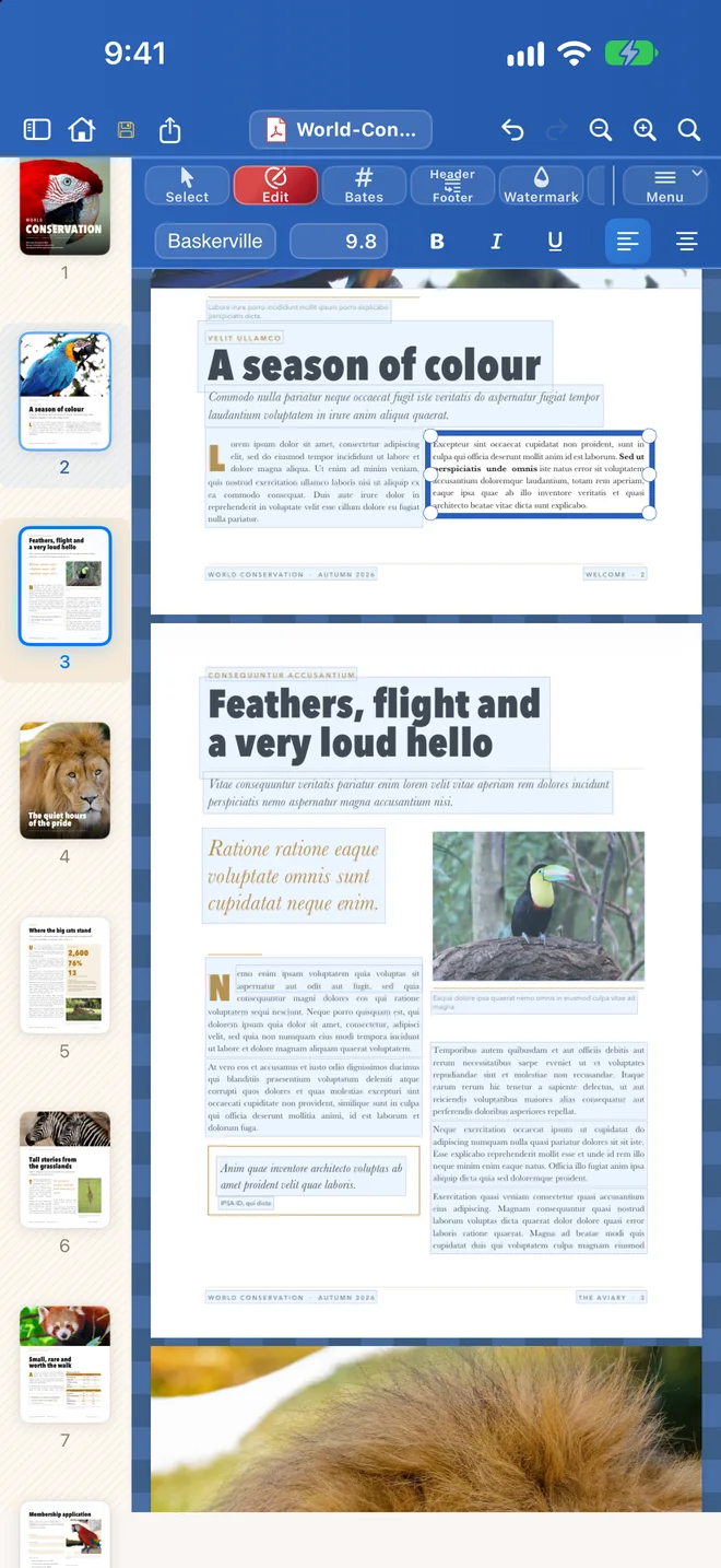 Papayra for iPhone with a run of words selected and the style bar showing bold, italic and underline.