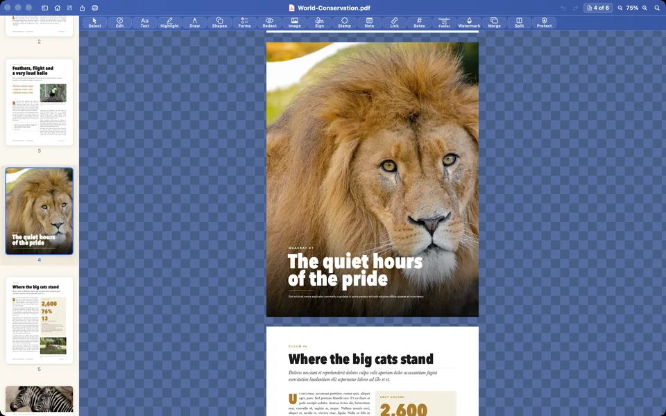 The full-page lion photograph of the magazine in Papayra for Mac, with the page thumbnails.