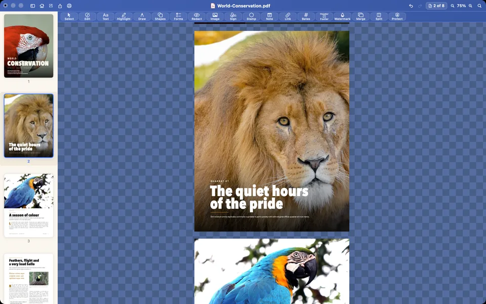 The page thumbnails on the left, the lion page moved up to page 2 and selected.