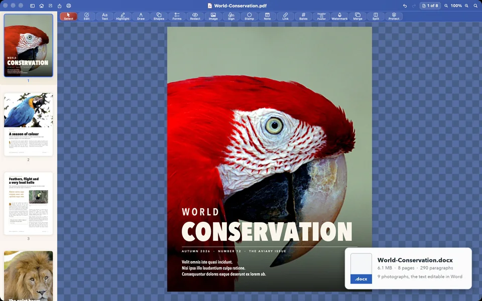 The magazine cover in Papayra for Mac with the exported Word file: World-Conservation.docx, 6.1 MB, 8 pages, 290 paragraphs, 9 photographs, the text editable in Word.