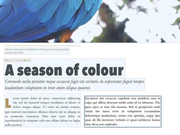 A paragraph being edited in Papayra for Mac: white with a blue frame and handles, a new sentence typed in the page&rsquo;s own typeface, the other blocks in light blue.