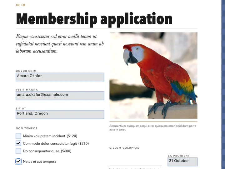 A membership application filled in: name, e-mail and city typed into the fields, two boxes ticked.