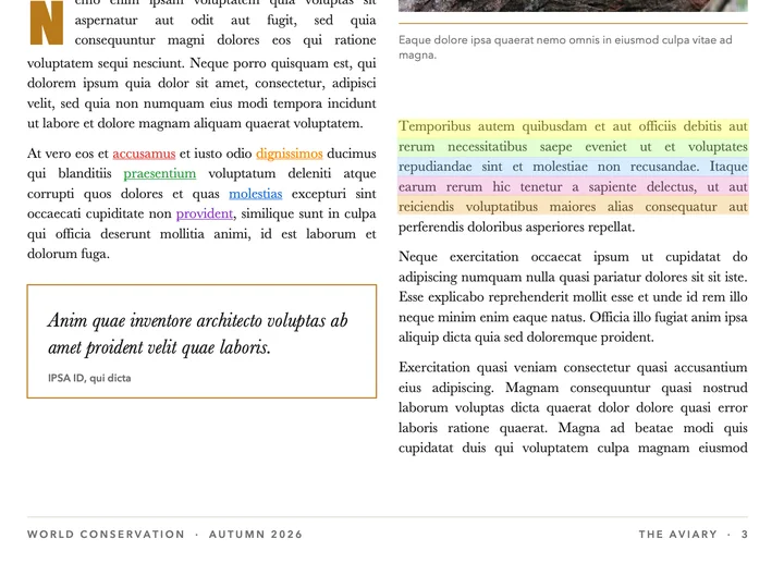 Lines of a magazine page highlighted in yellow, green, blue, pink and orange, and single words underlined in five colours.