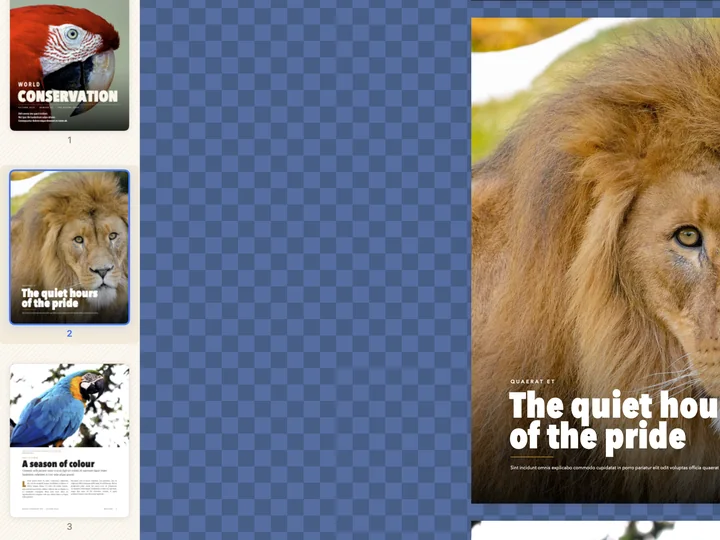 The page sidebar with the magazine&rsquo;s pages as thumbnails beside a page of zebras.