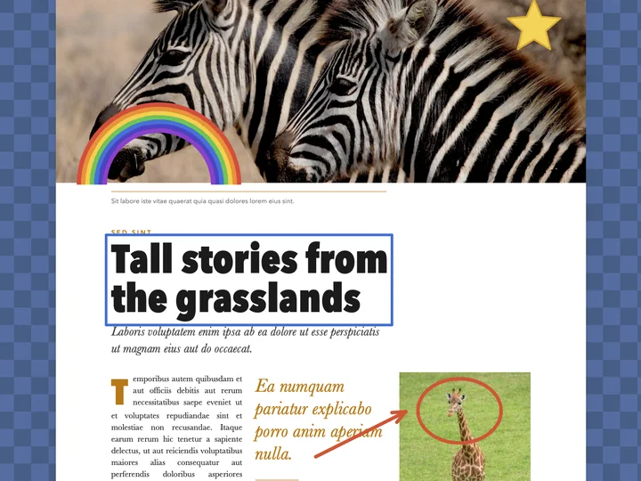 Shapes on a magazine page: a rainbow and a star on the zebra photograph, a blue box around the headline and a red circle around the giraffe.